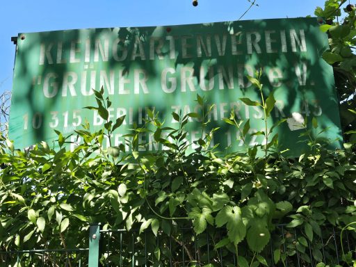 Vereinsschild Grüner Grund